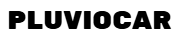 pluviocar.shop